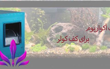 چسب آکواریوم برای کف کولر