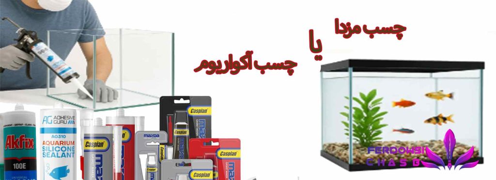 چسب مزدا یا چسب آکواریوم